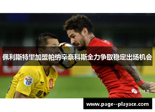 佩利斯特里加盟帕纳辛奈科斯全力争取稳定出场机会